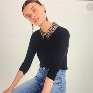 Jcrew Tippi sweater black with leopard collar